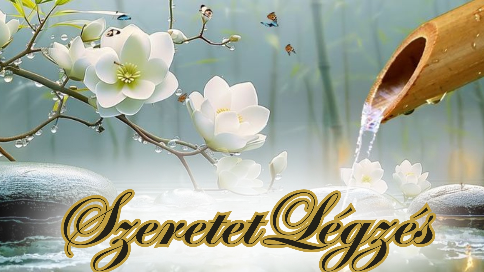 Forrásemlék keresés